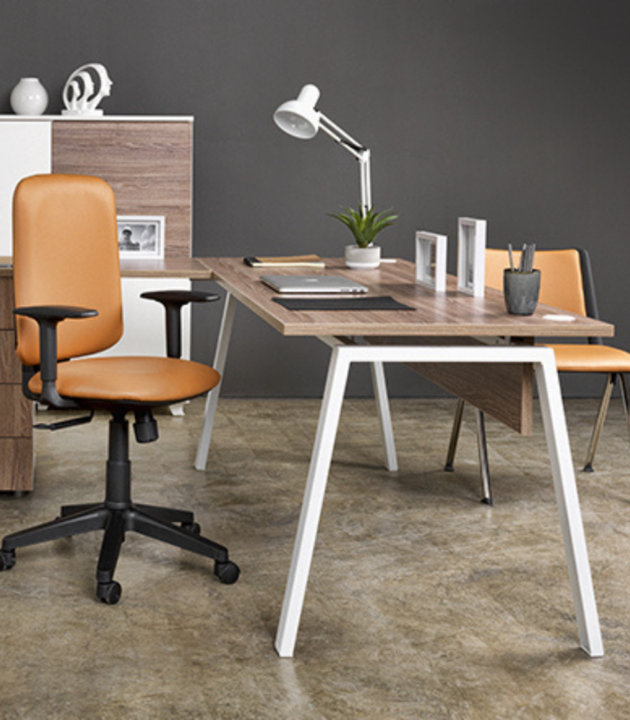 BUREAU I CARE PLUS DIM 160